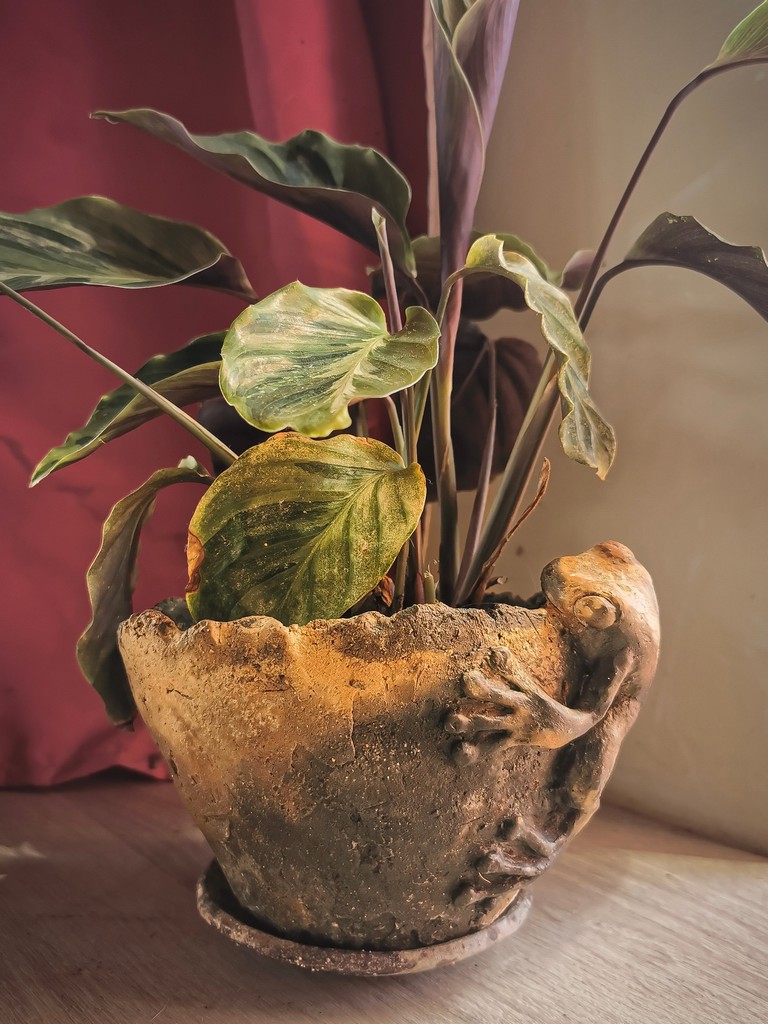 Pot en argile sauvage cuit au feu de bois, orné d’une grenouille sculptée, réalisé par Atelier Élemen’terre.