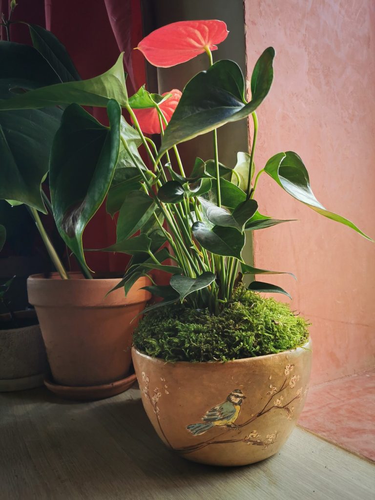 Pot décoratif en céramique artisanale façonné à la main en argile locale, utilisé comme cache-pot, Atelier Élémen'terre Ariège