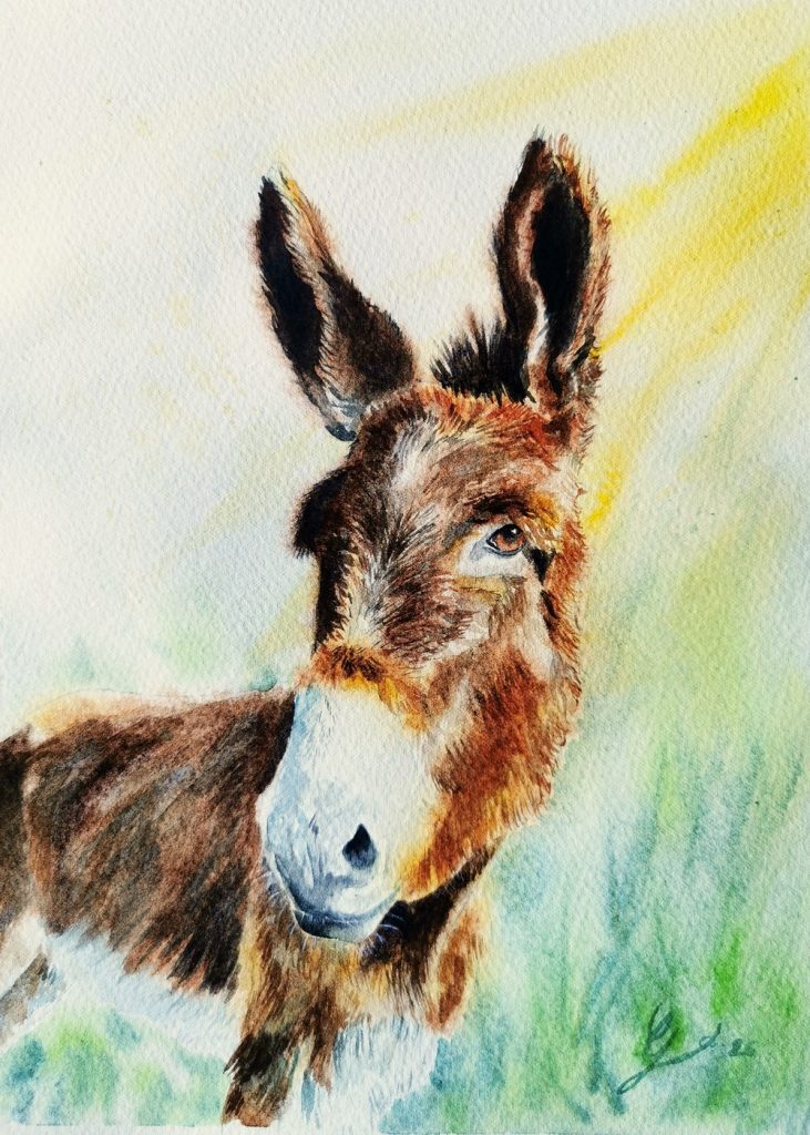 Portrait d'un âne des pyrénées à l'aquarelle réalisé à la main d'après photo par Gladys Degroux, Atelier Elémen'terre