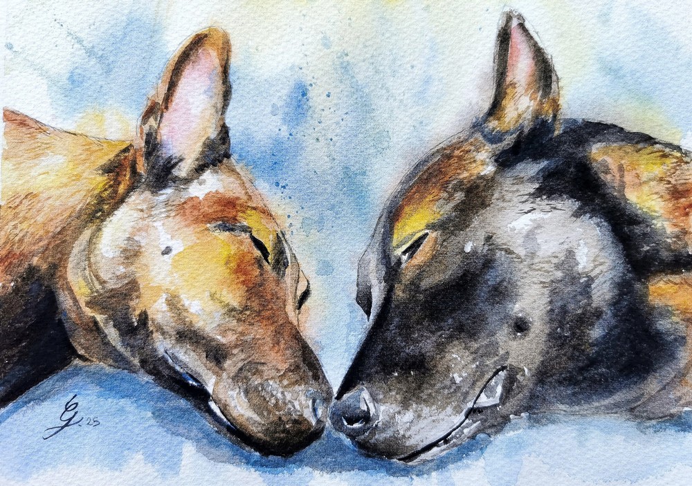 Portrait de deux chiens bergers allemends endormis à l'aquarelle réalisé à la main d'après photo par Gladys Degroux, Atelier Elémen'terre