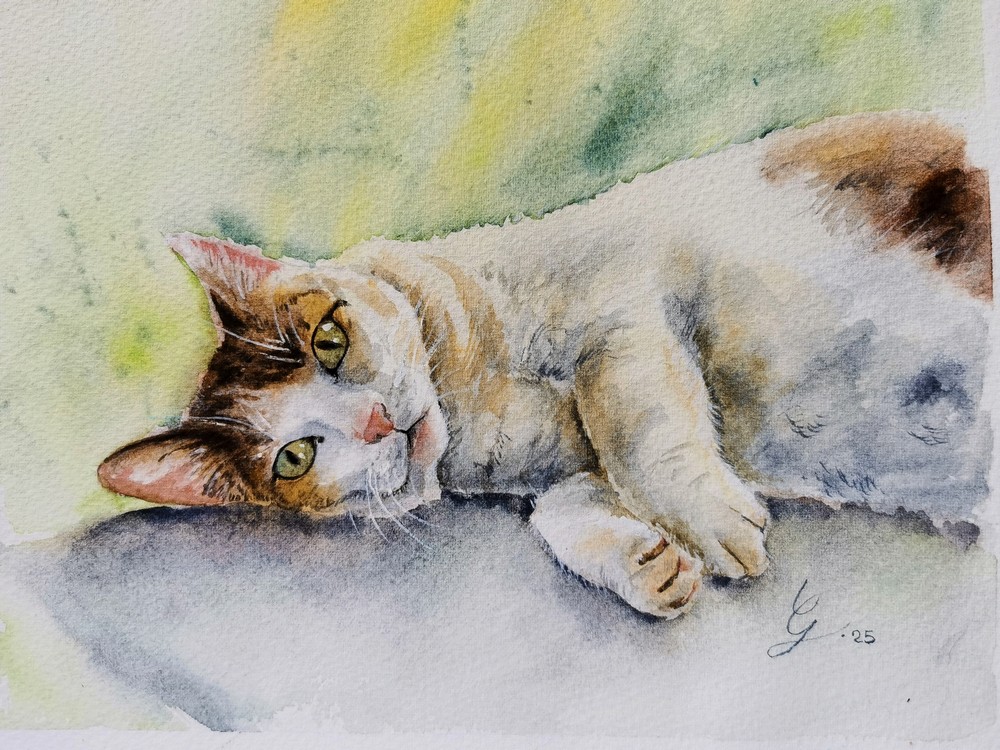 Portrait de chat européen allongé à l'aquarelle réalisé à la main d'après photo par Gladys Degroux, Atelier Elémen'terre