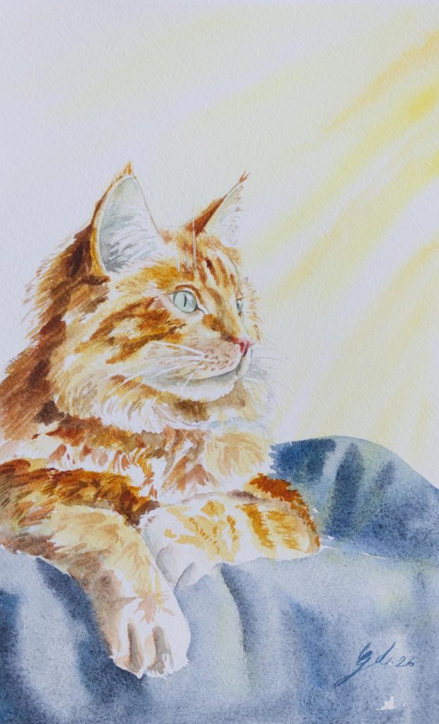Portrait de chat Main coon roux à l'aquarelle réalisé à la main d'après photo par Gladys Degroux, Atelier Elémen'terre