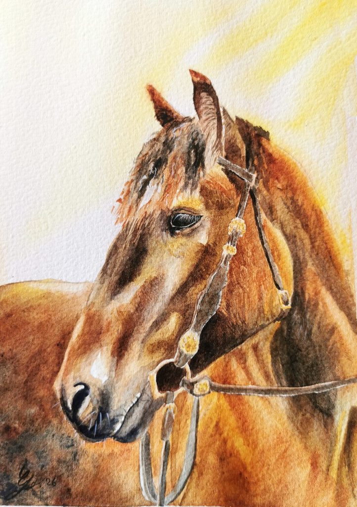 Portrait de cheval baie à l'aquarelle réalisé à la main d'après photo par Gladys Degroux, Atelier Elémen'terre